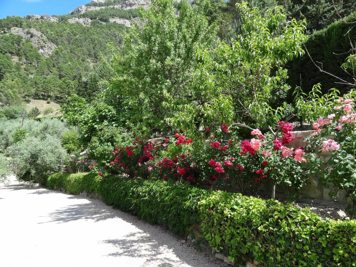 Apartamentos Arroyo Parrilla - Housity