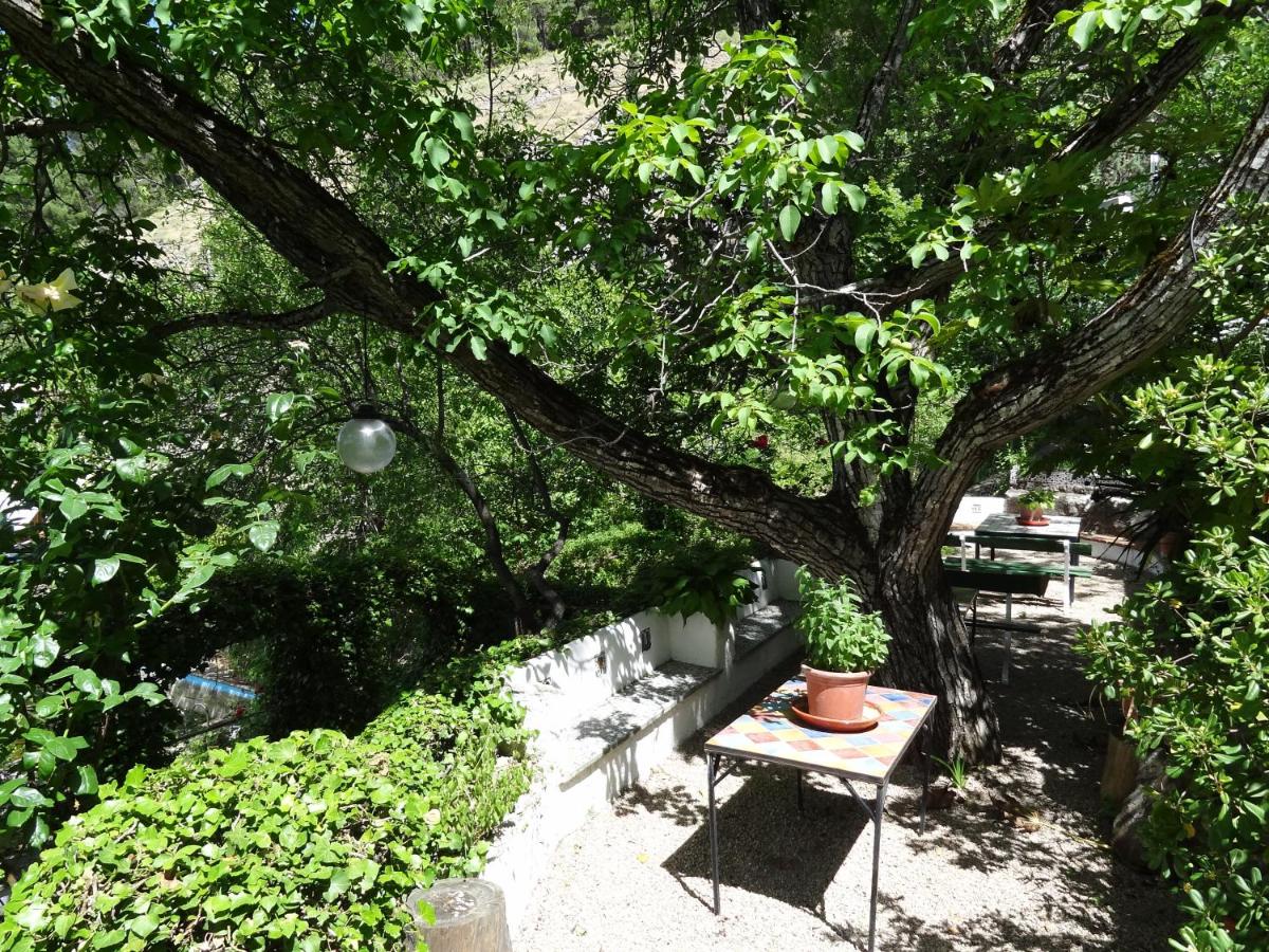 Apartamentos Arroyo Parrilla - Housity