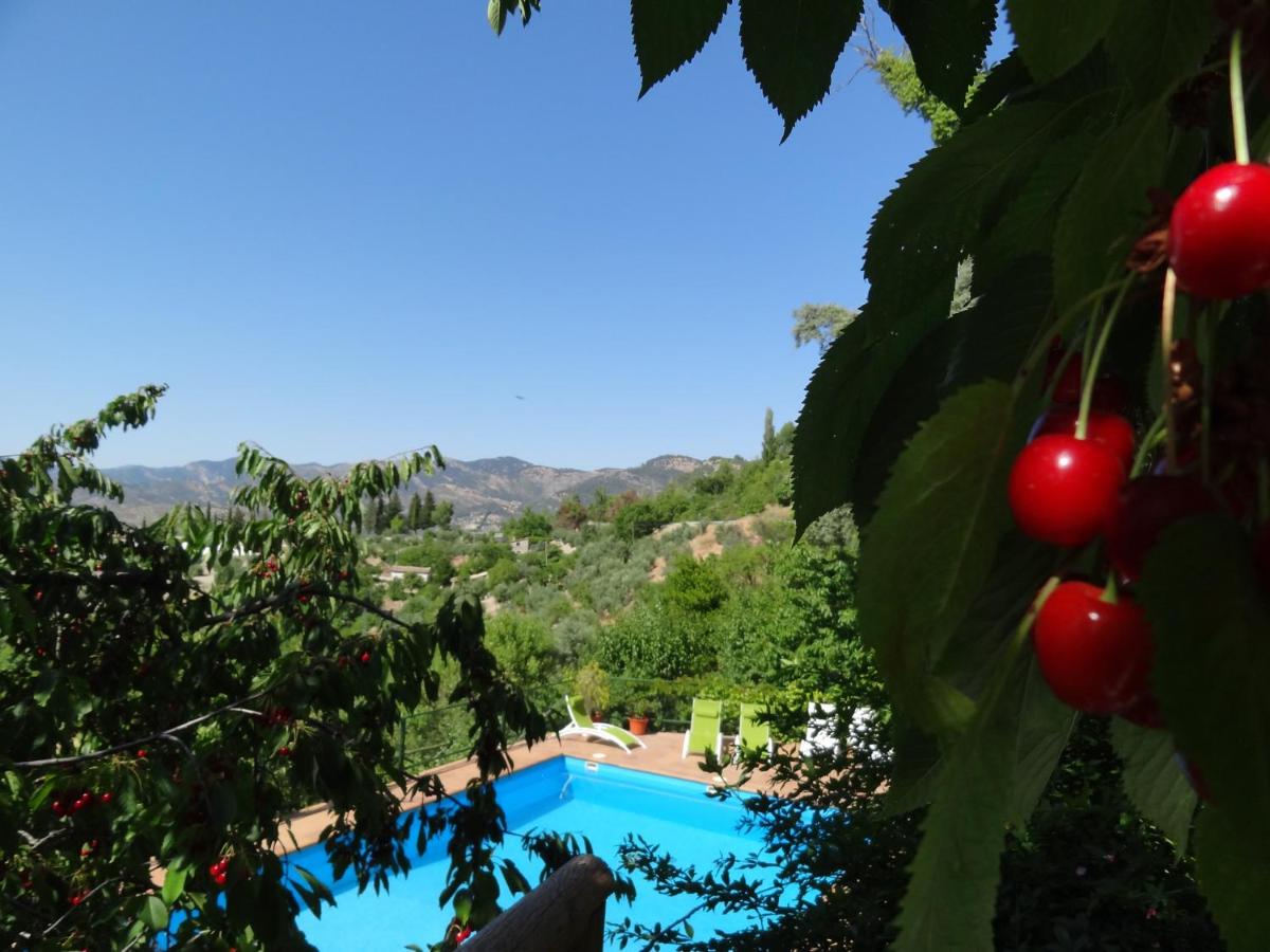 Apartamentos Arroyo Parrilla - Housity