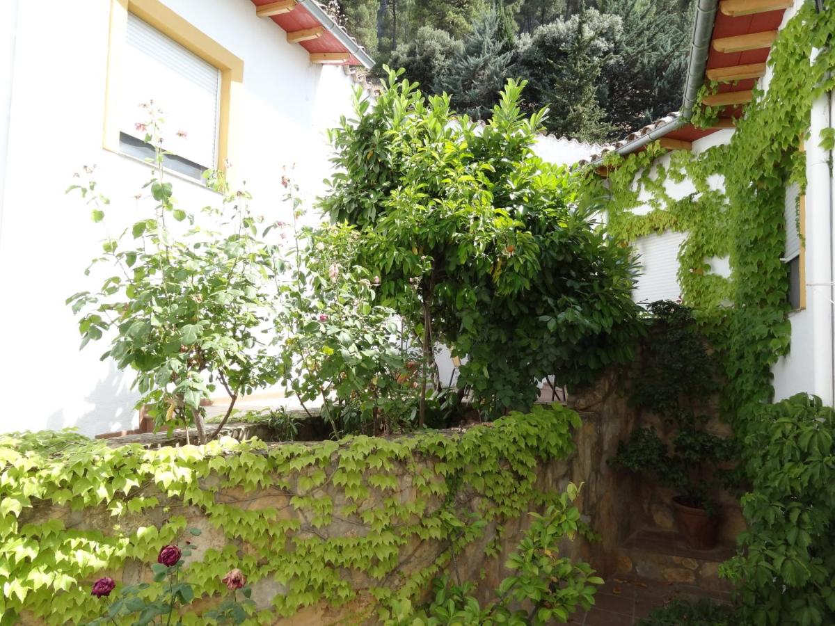 Apartamentos Arroyo Parrilla - Housity