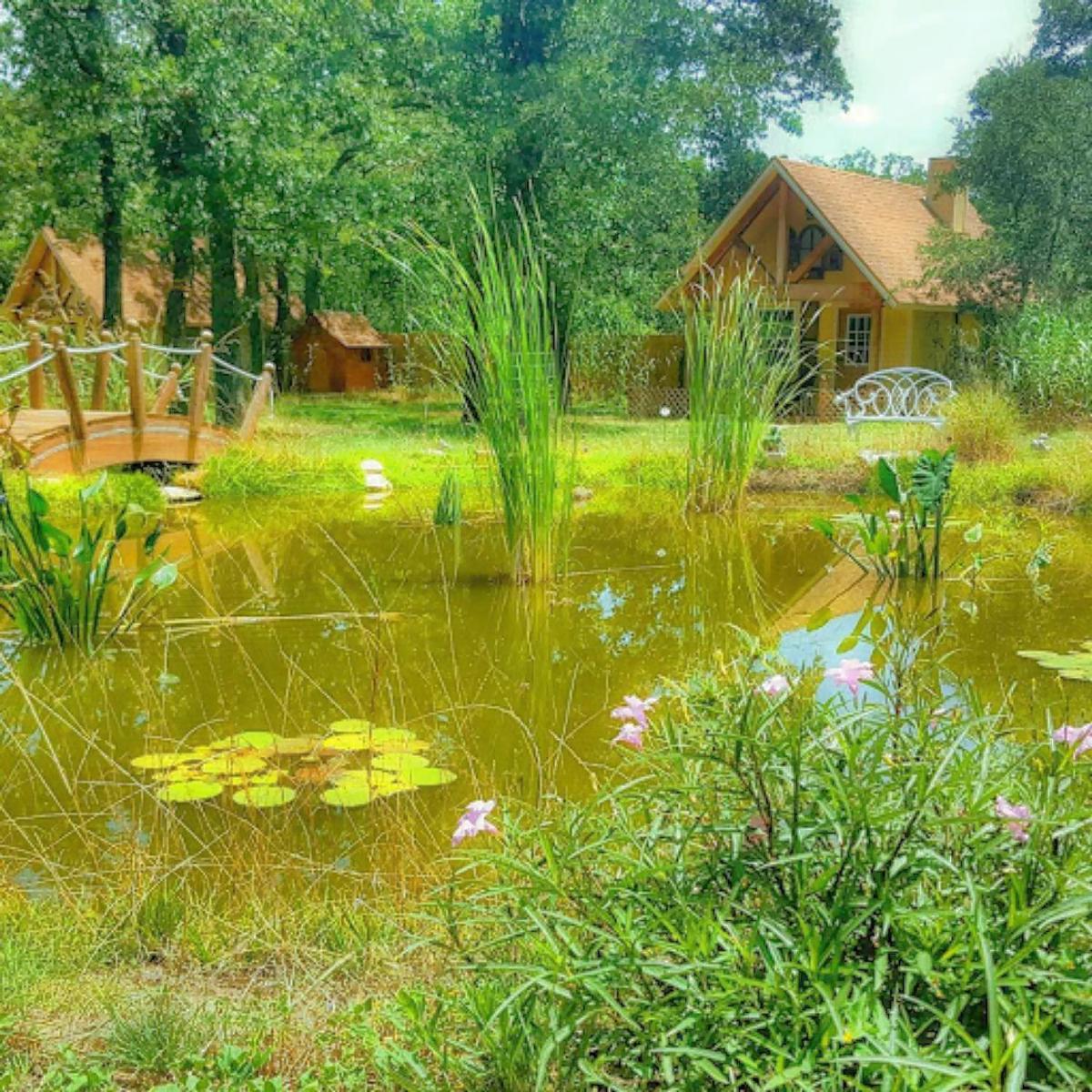 Rarumpelpunzeldornaschenwittchen - Housity