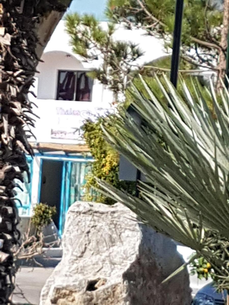Thalassa Studios - Housity