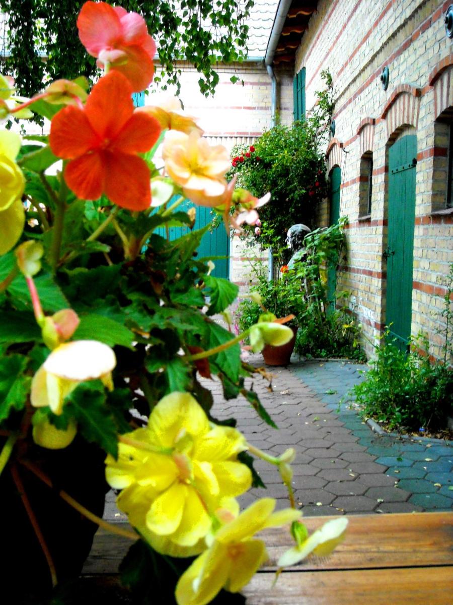 Ferienwohnung auf ehem. alten Bauernhof - Housity