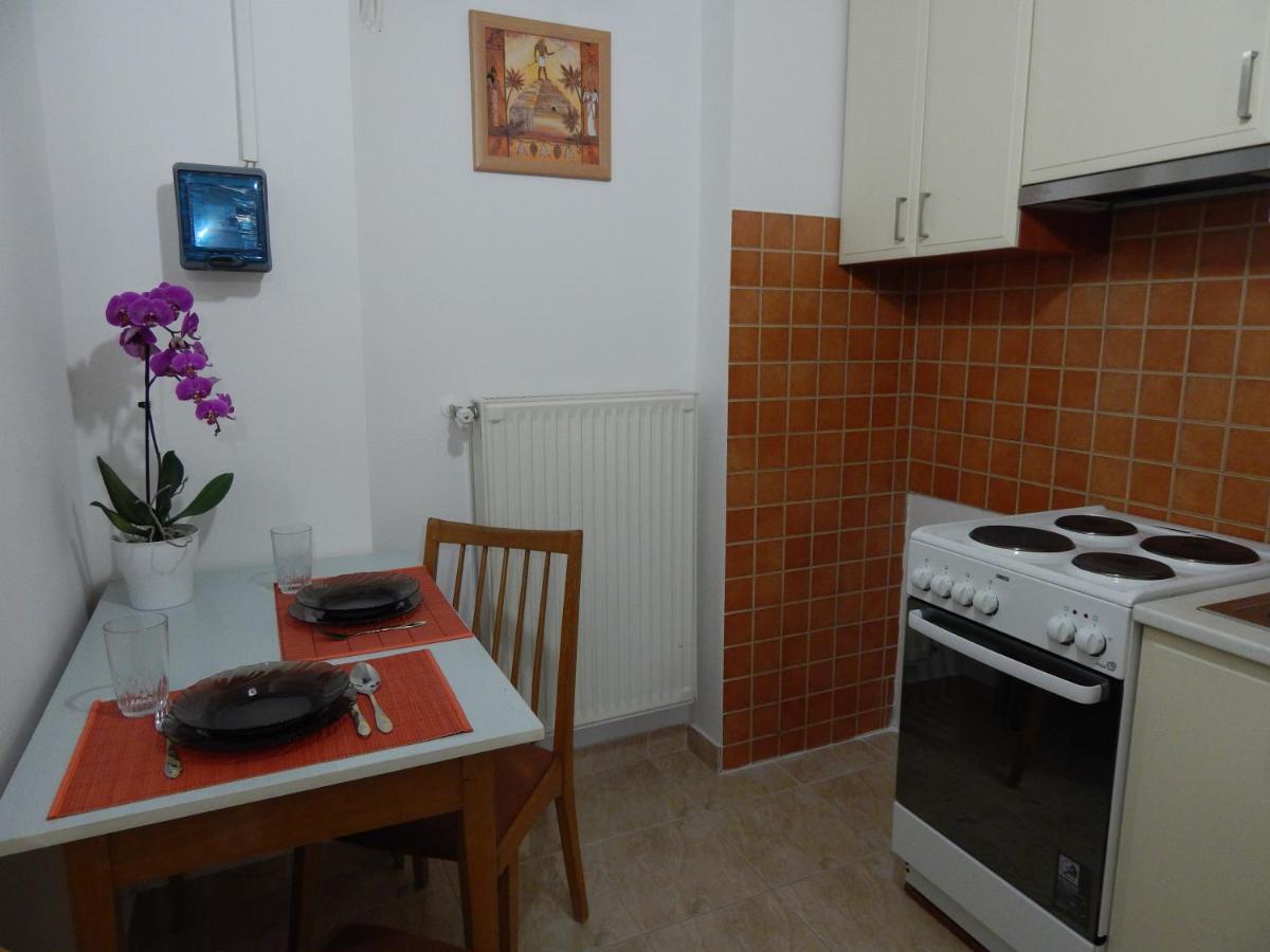 Csillagvirág Apartman - Housity