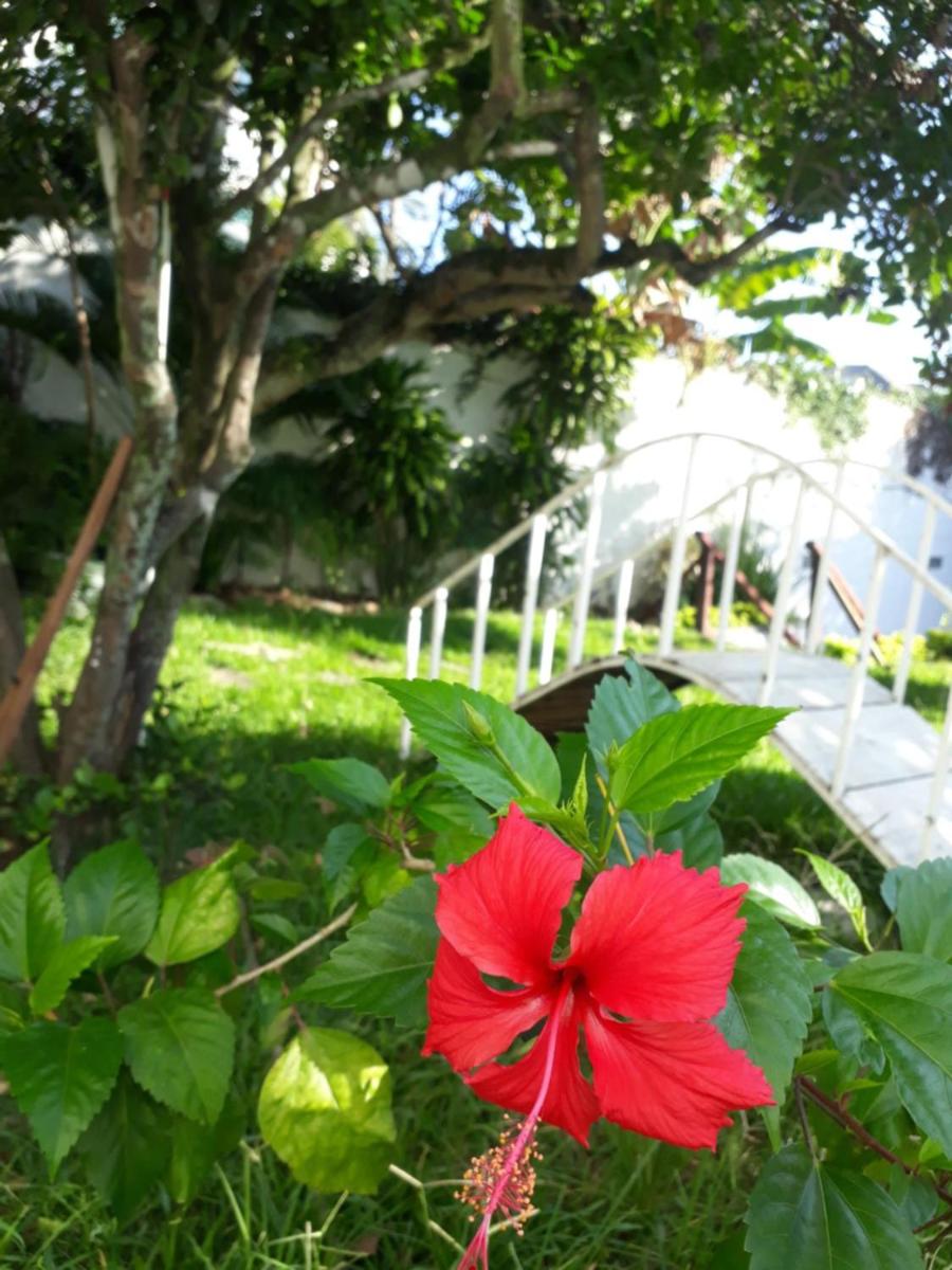 Secret Recreio - Housity