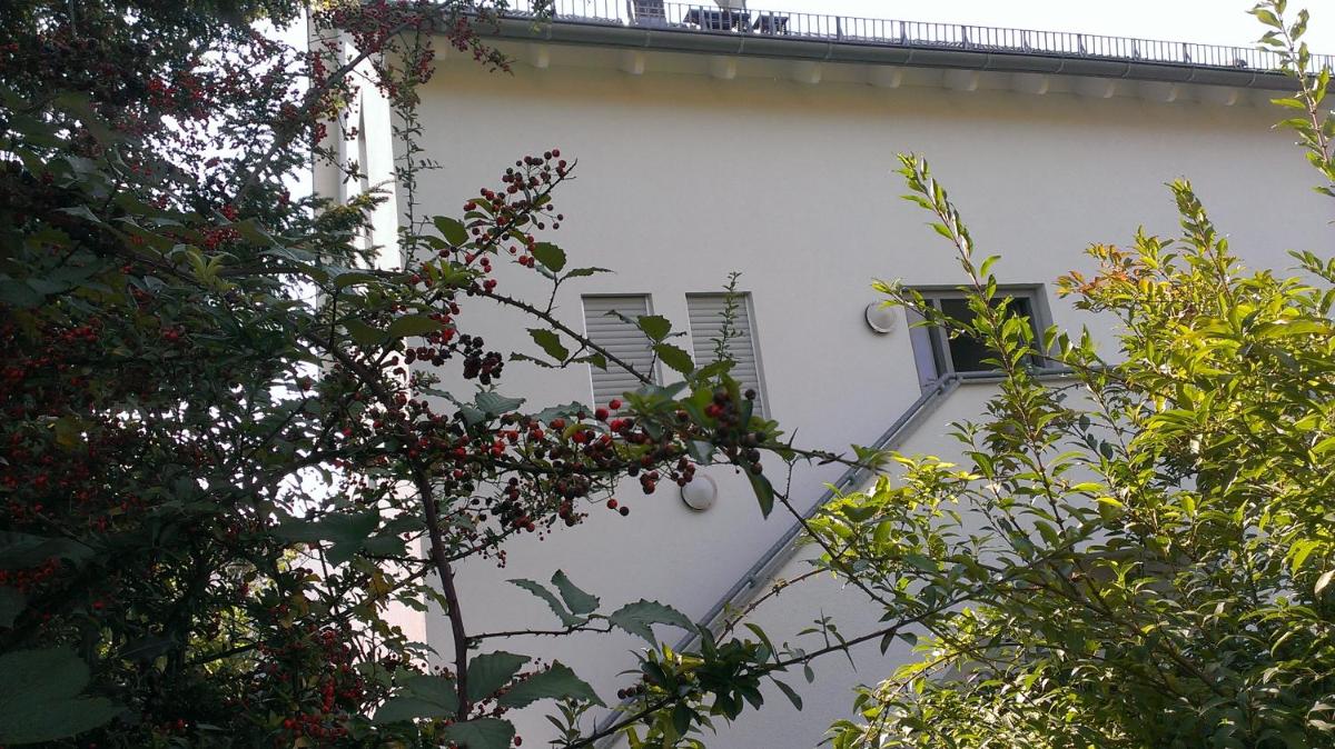Petite Bellevue II - Housity