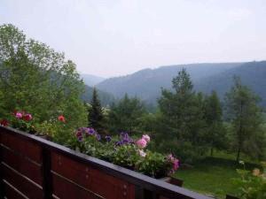 Gasthaus & Pension Zum Hirsch - Housity