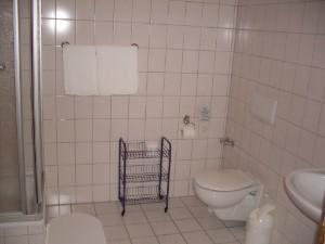Gasthaus & Pension Zum Hirsch - Housity