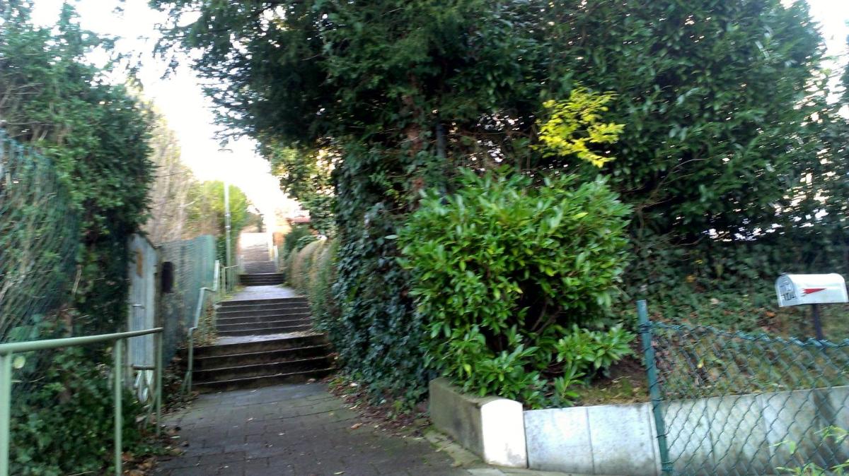 Petite Bellevue II - Housity