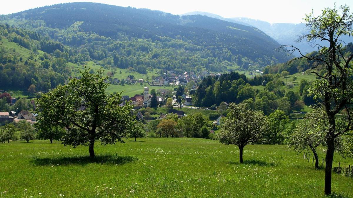 Les studios du frankenthal - Housity