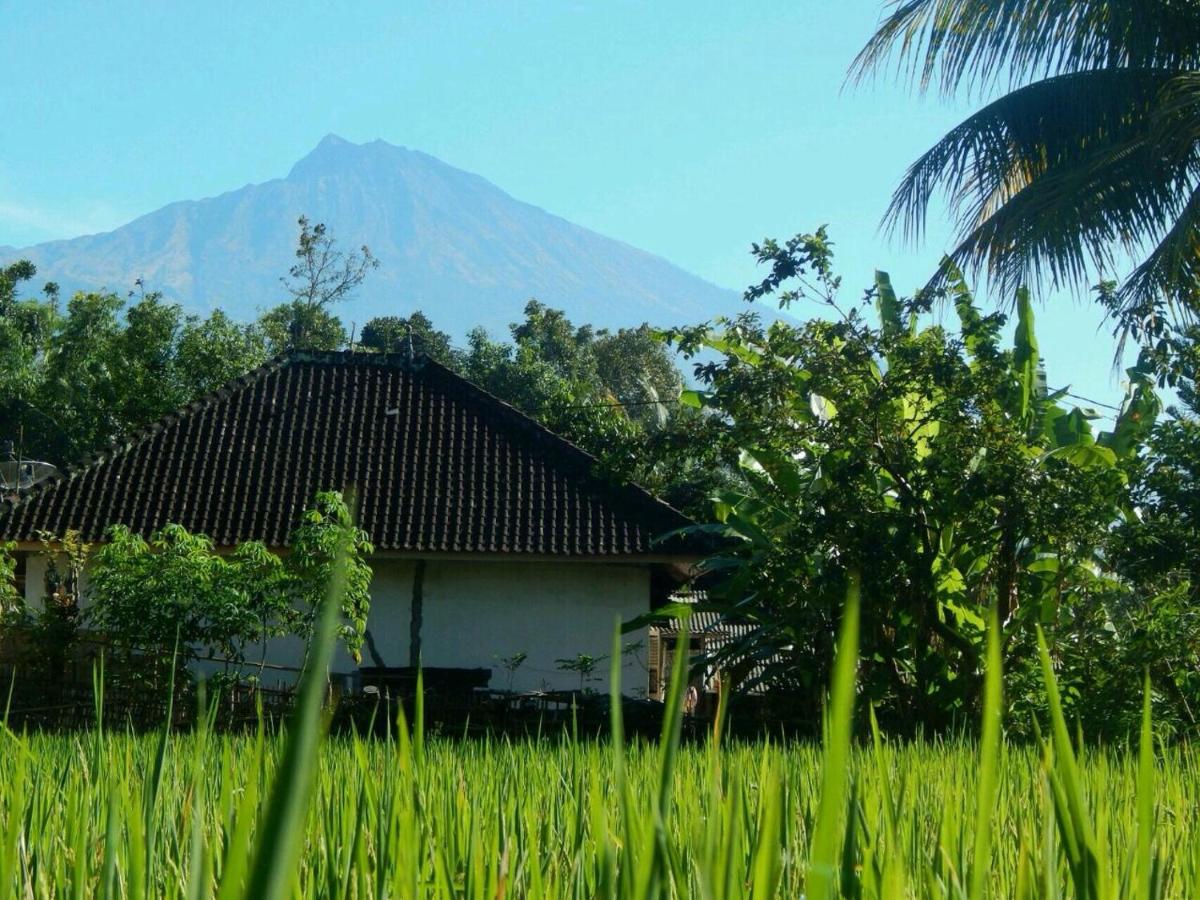 Kembang Kuning Cottages - Housity