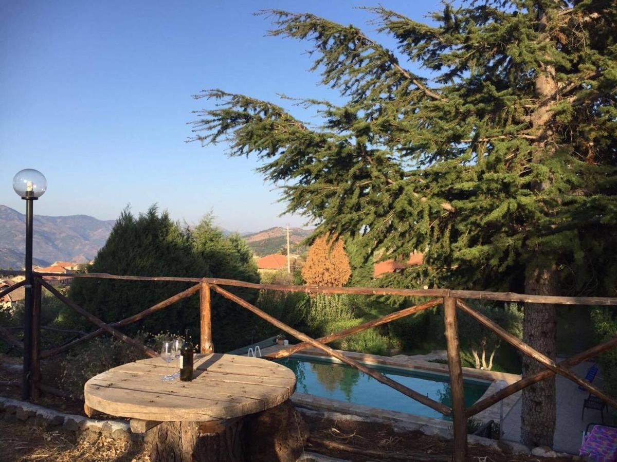 La Dolce Vita Country House with pool - Solicchiata - Housity