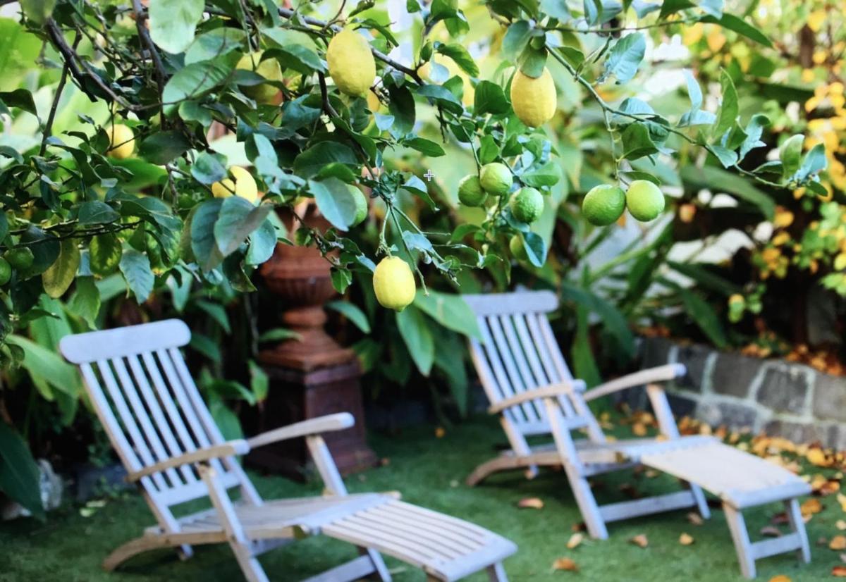 Captains Retreat Apartments and Cottages - Housity