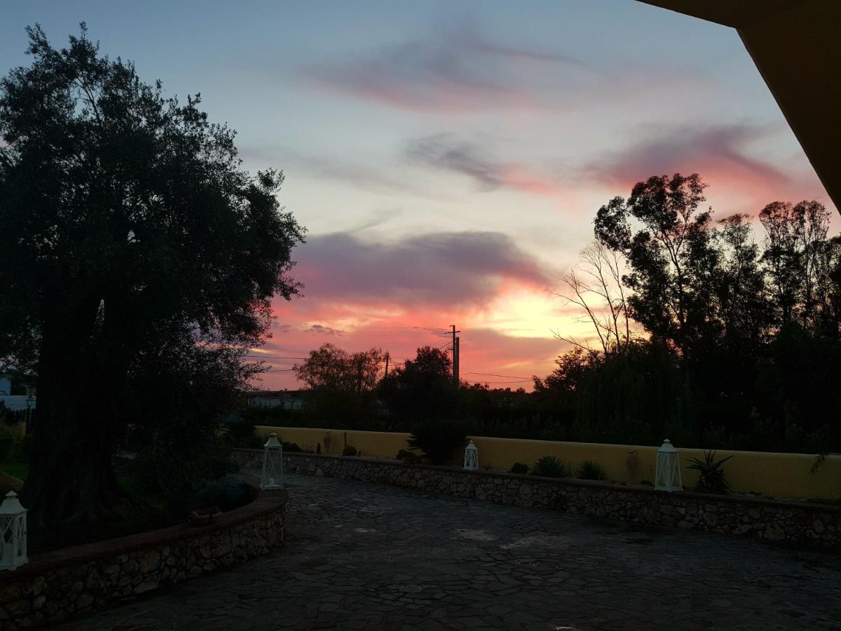 Crisam - Housity