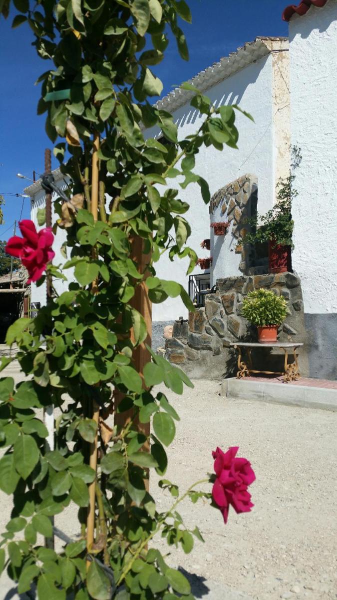 Cueva de la abuela - Housity