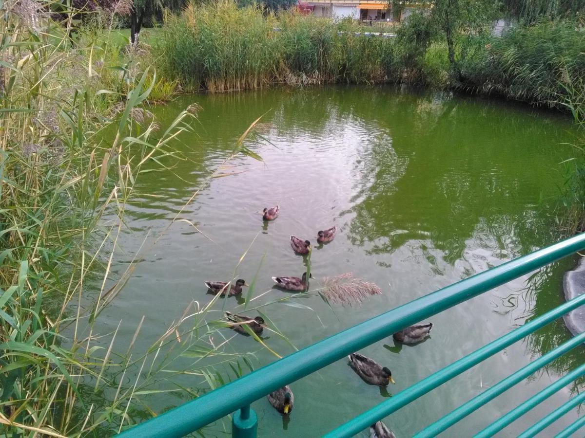 Horváth Apartman - Housity