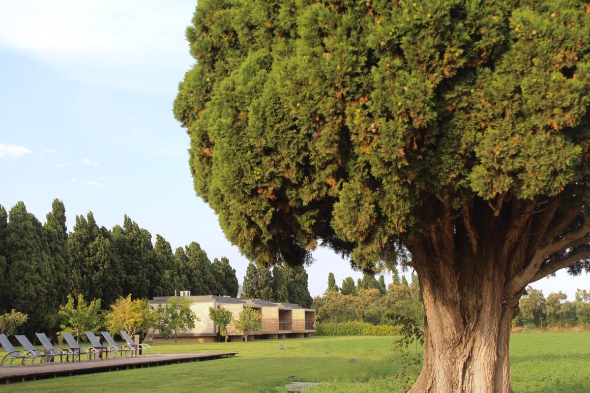 Jardín al aire libre en URH - Hotel Molí del Mig