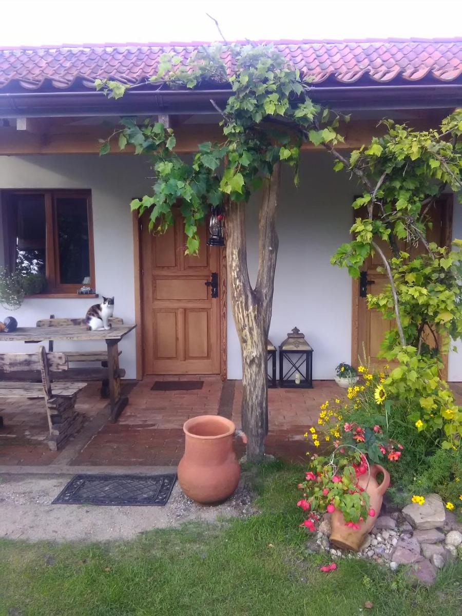 Lesny Zakatek B&B koło Ostrody - Housity