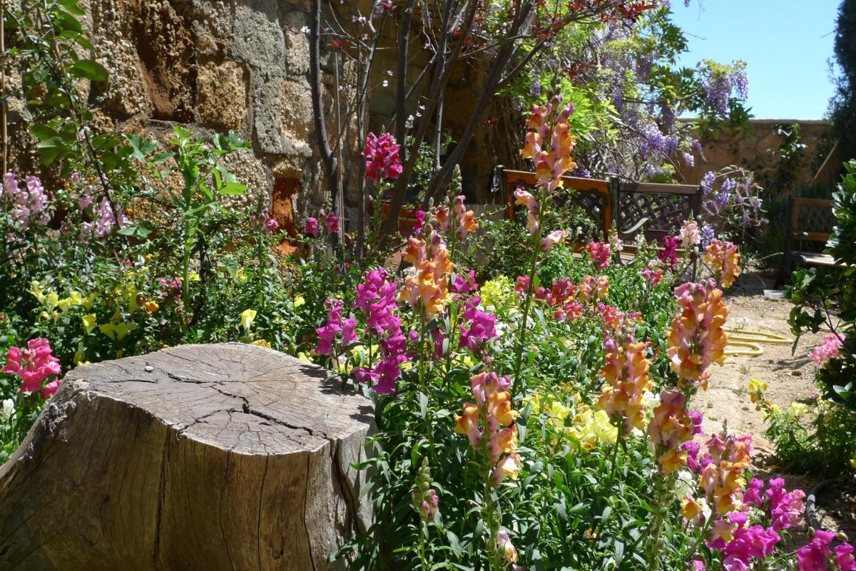 Jardín al aire libre en Hotel Rural San Miguel - Only Adults