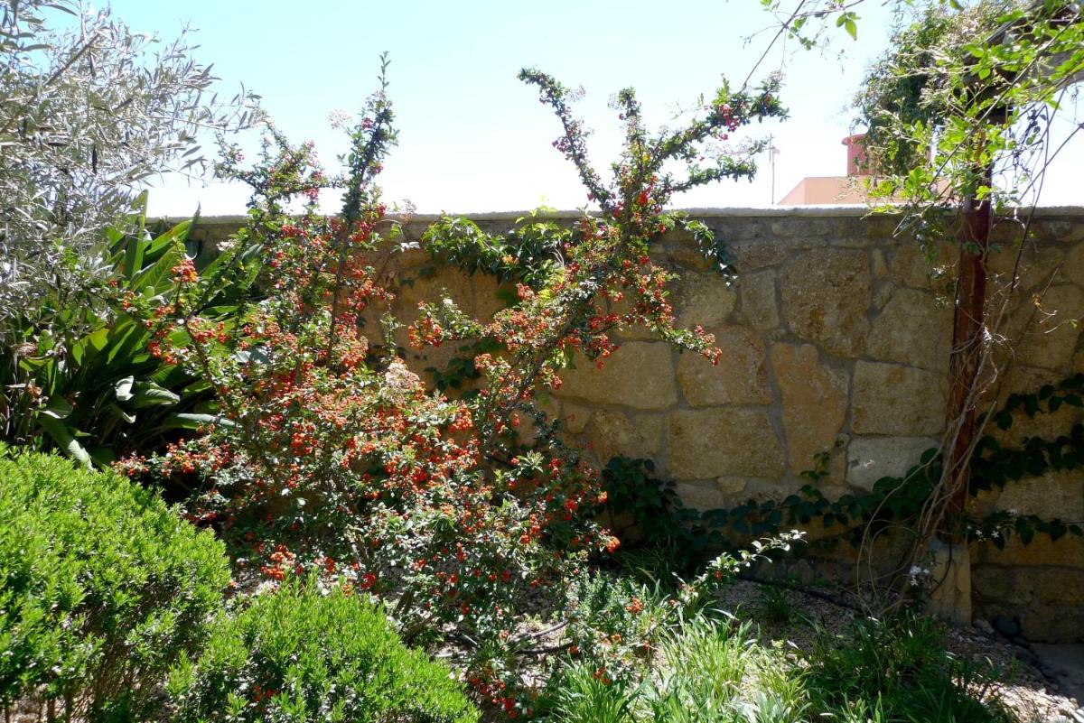 Jardín al aire libre en Hotel Rural San Miguel - Only Adults
