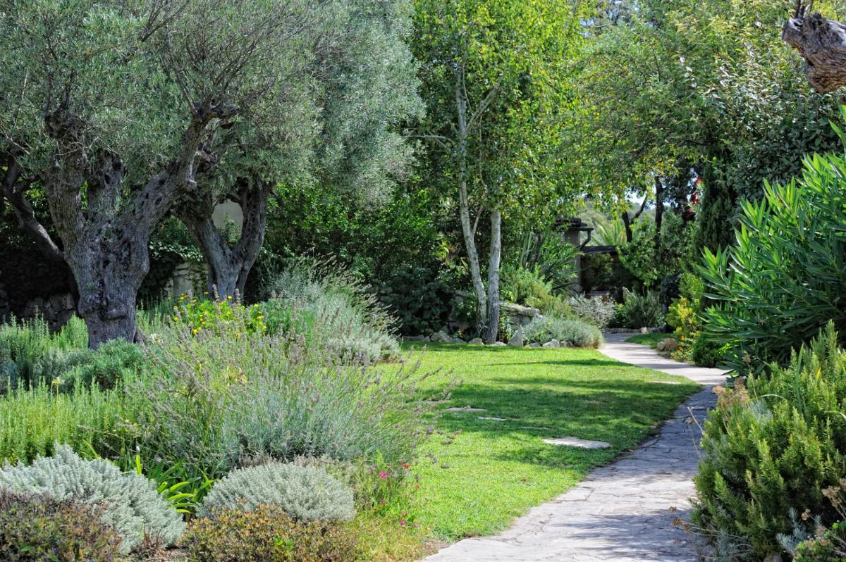 Jardin de l'établissement Lodge de Charme A Cheda