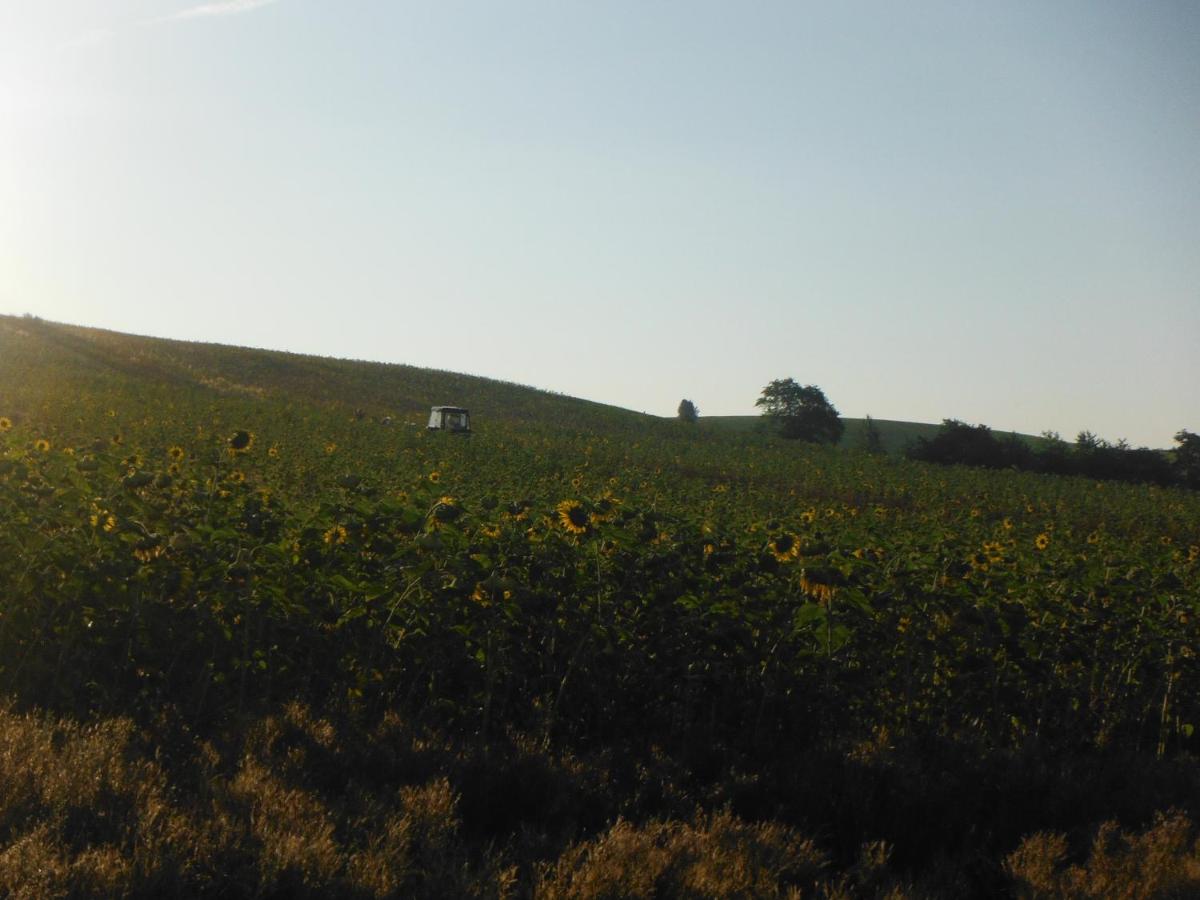 Ferienhaus Sonneneck - Housity