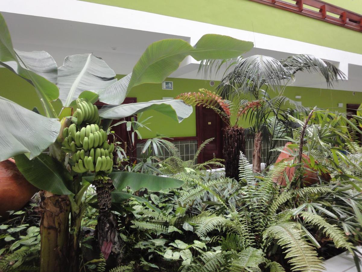 Jardín al aire libre en Balneario Pozo de la Salud
