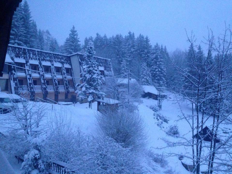 Penzion Luka - Housity
