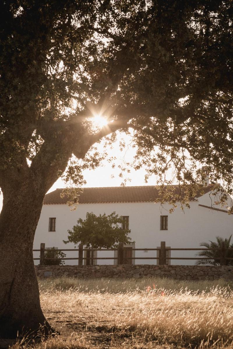 Cortijo La Panadera - Housity