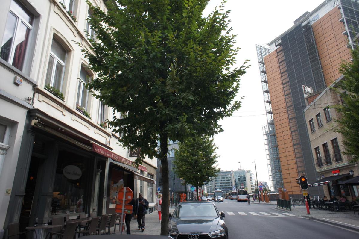 Apartments Berlaymont OHY - Housity