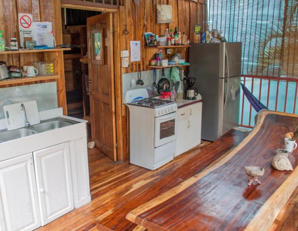 J Bay : Burnt Toast Surfcamp - Housity