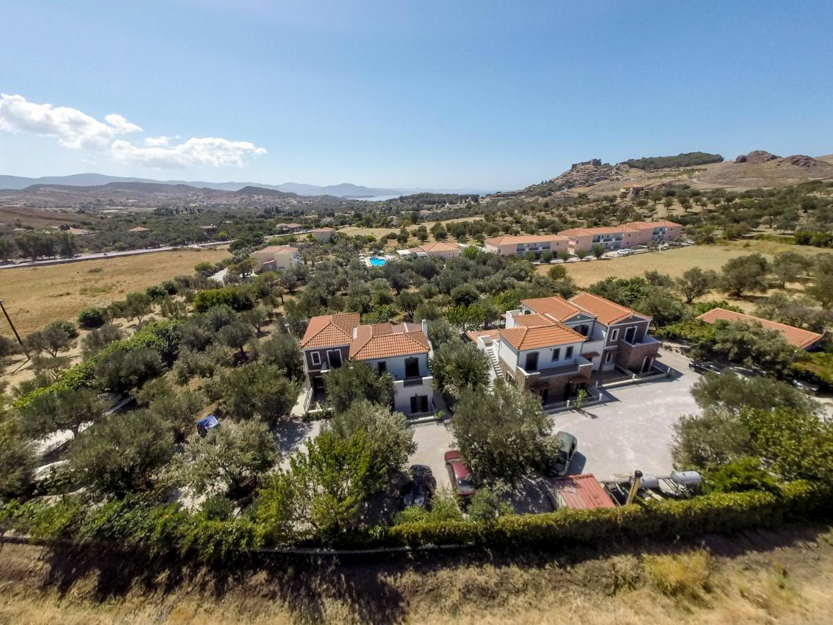 Elea Houses - Housity