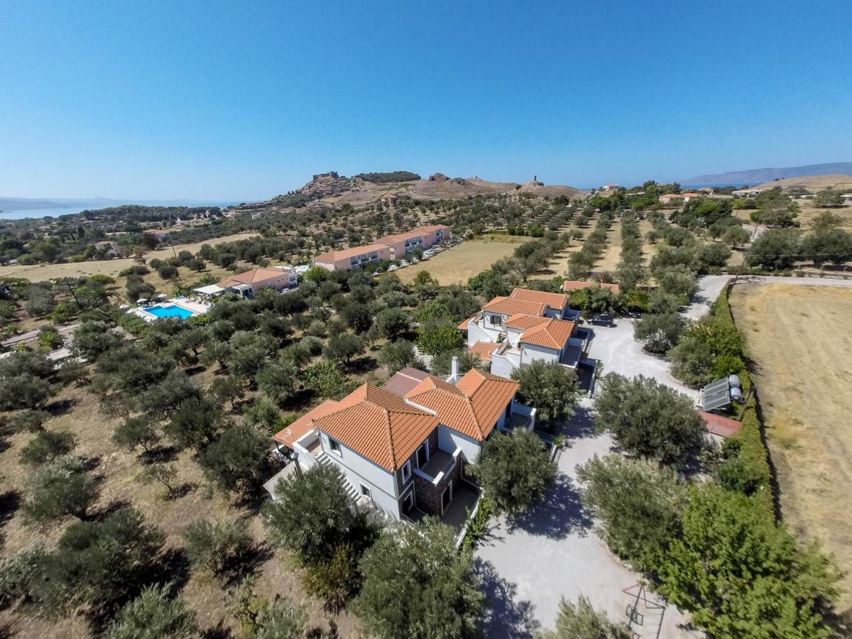 Elea Houses - Housity