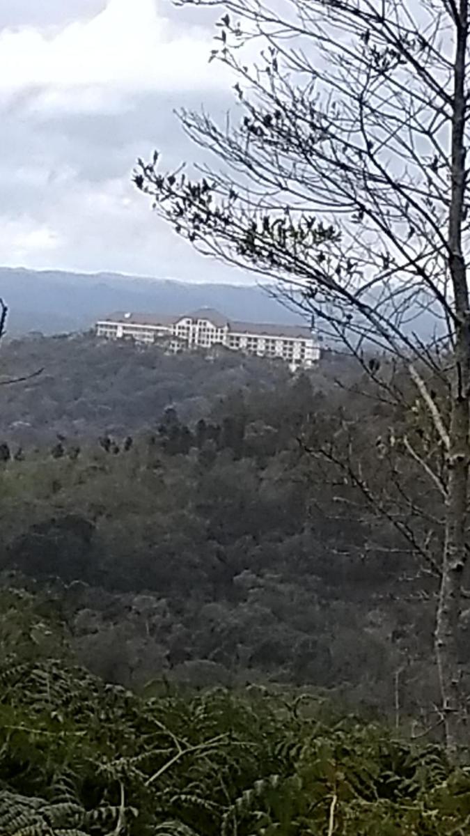 Flat 320 - Housity