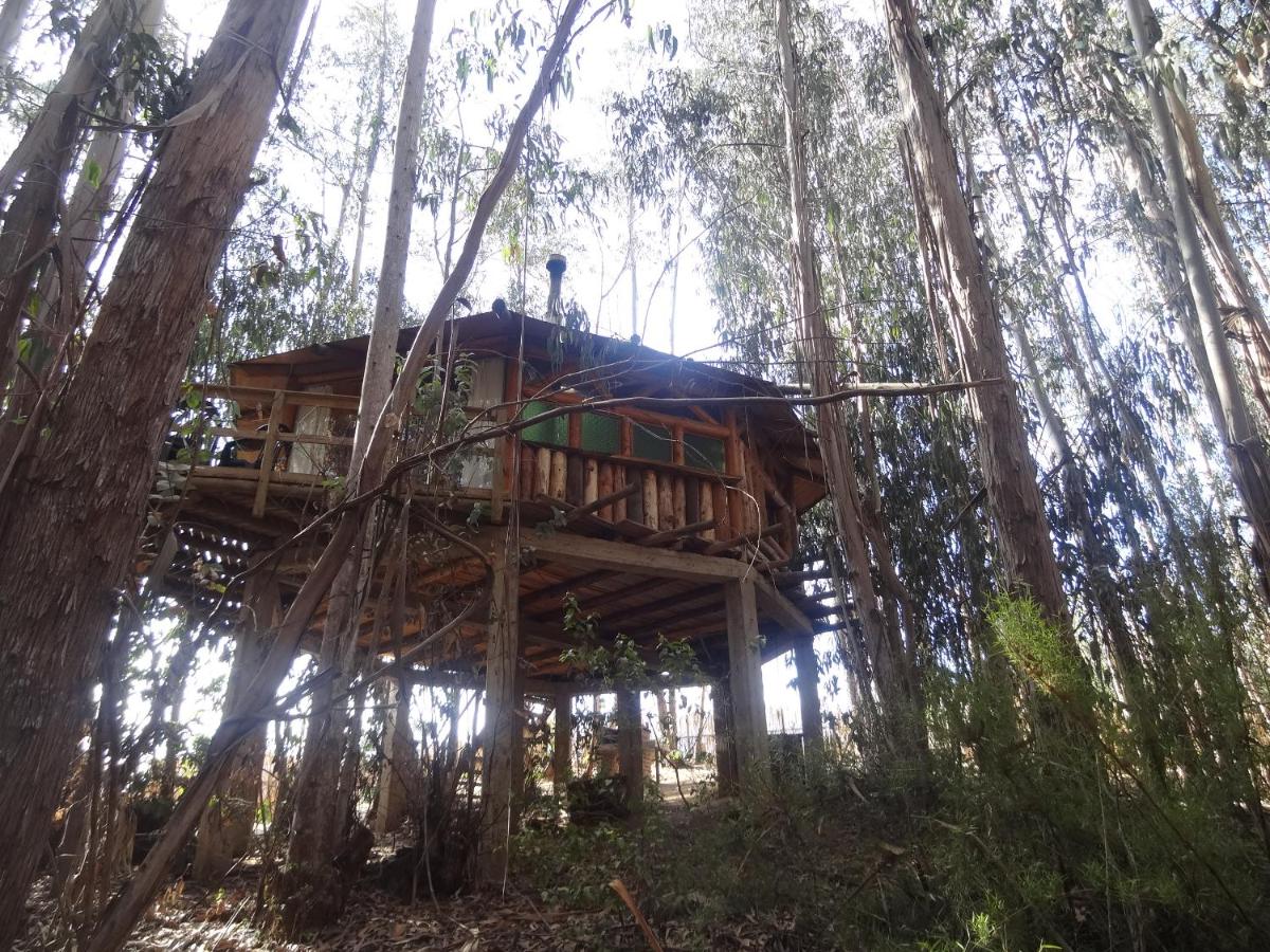 Cabanas Curi-Huapi - Housity