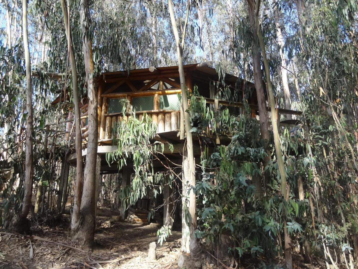 Cabanas Curi-Huapi - Housity