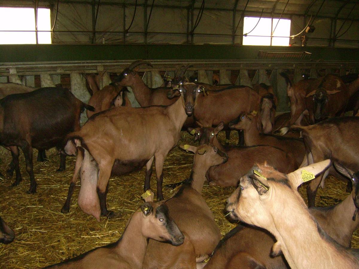 Studio nature a la ferme - Housity