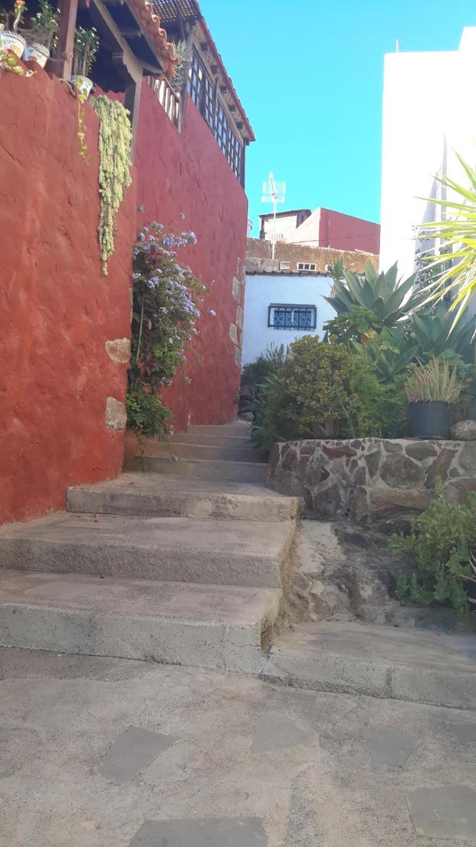 Canary House - Housity