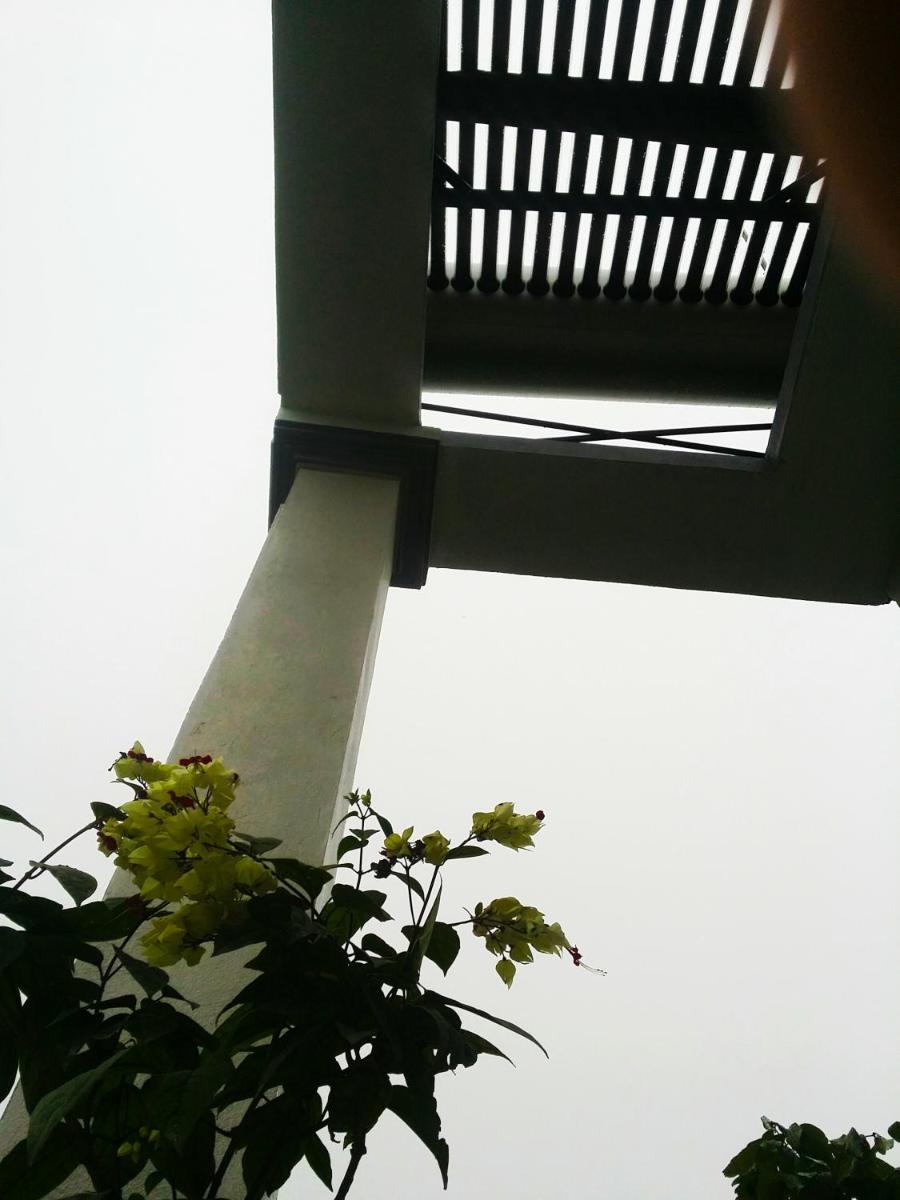 Homestay Moc Chau - Housity