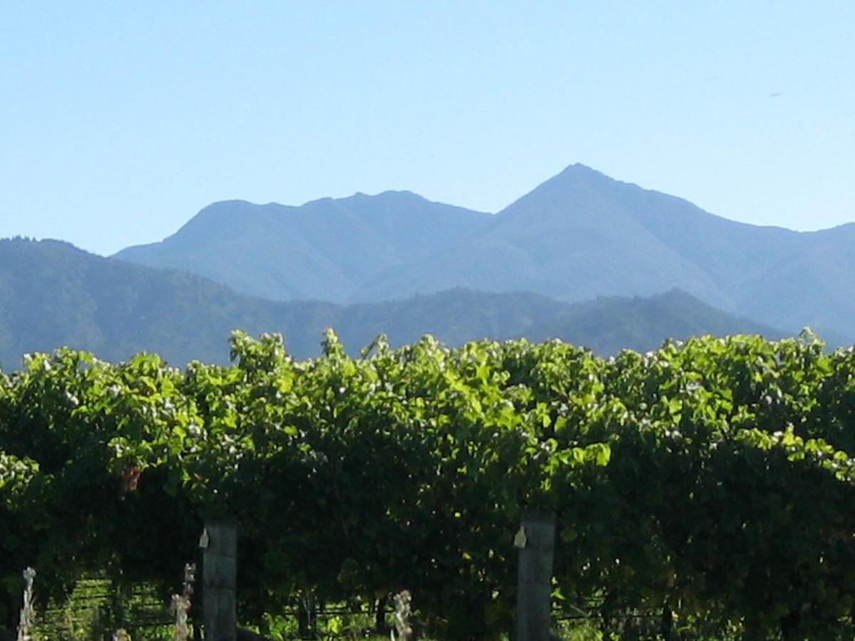 Korohi Vineyard BnB - Housity