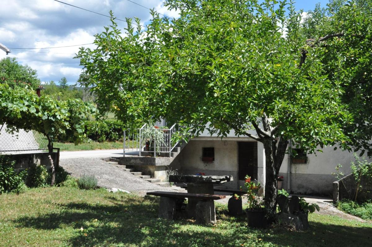 Apartment Marioni - Housity