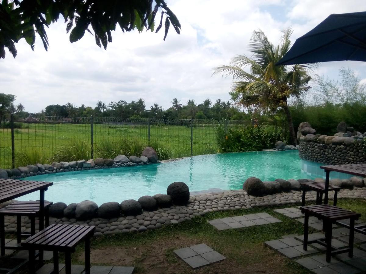 Rumah Budaya Tembi - Housity