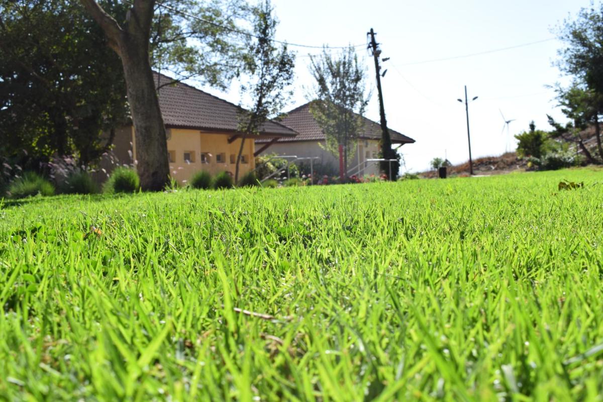 Aloney Habashan Guest village - Housity