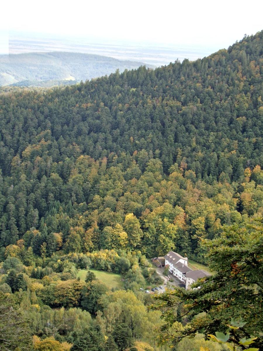 Hotel-Spa & Restaurant Logis Domaine Langmatt - Housity
