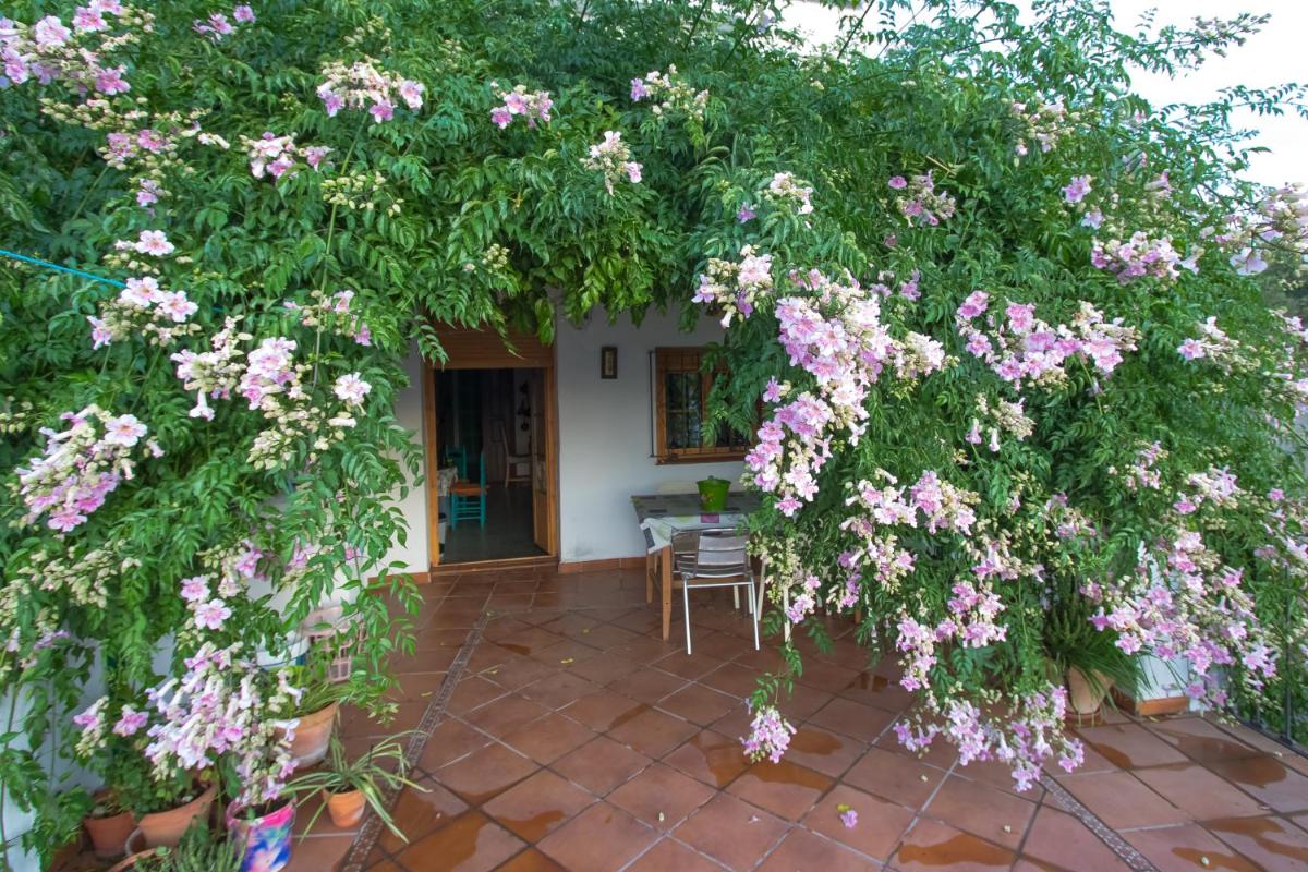 La Rana Verde Casa Rural - Housity