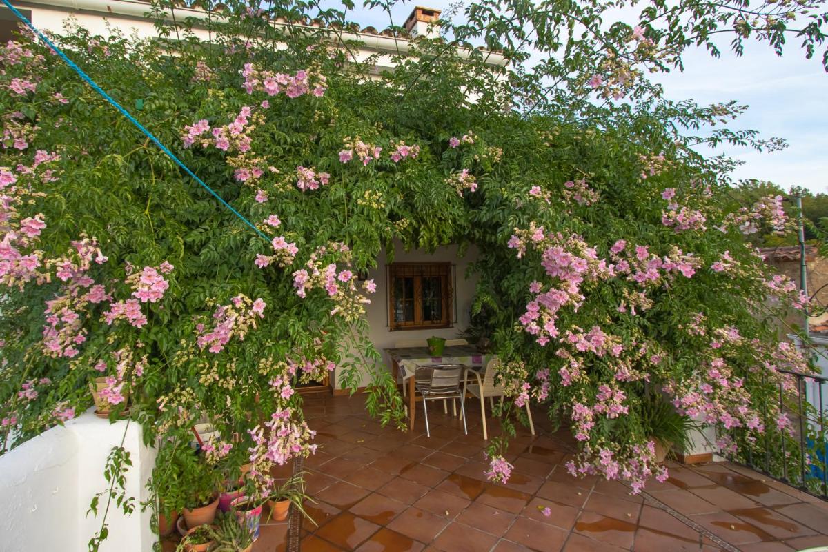 La Rana Verde Casa Rural - Housity