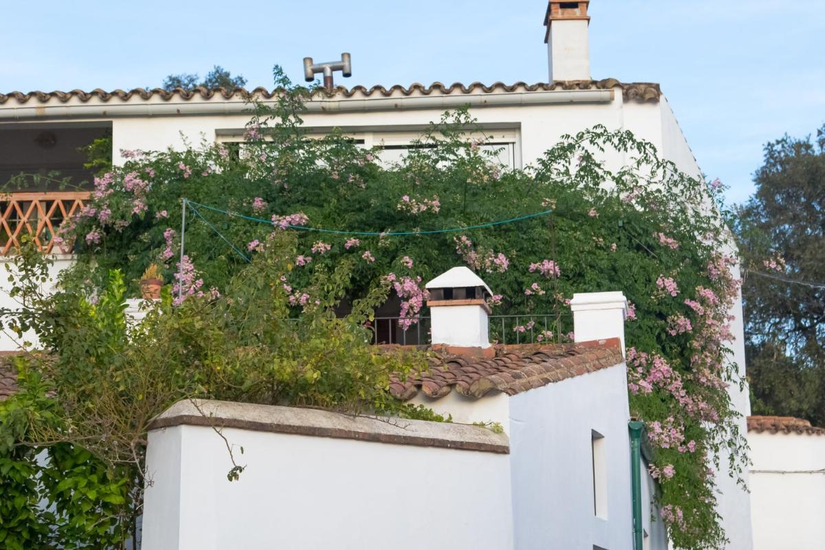 La Rana Verde Casa Rural - Housity