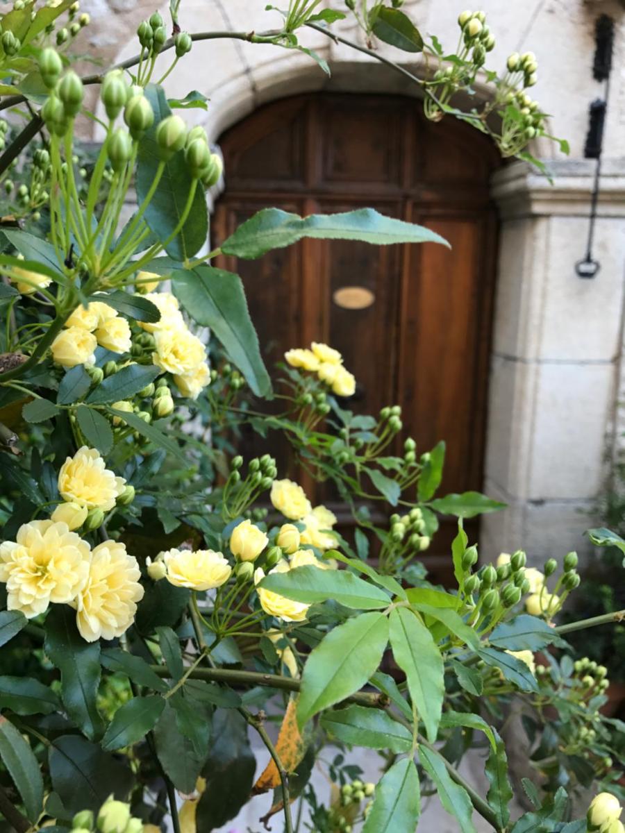 Muller's Bed & Breakfast - Housity