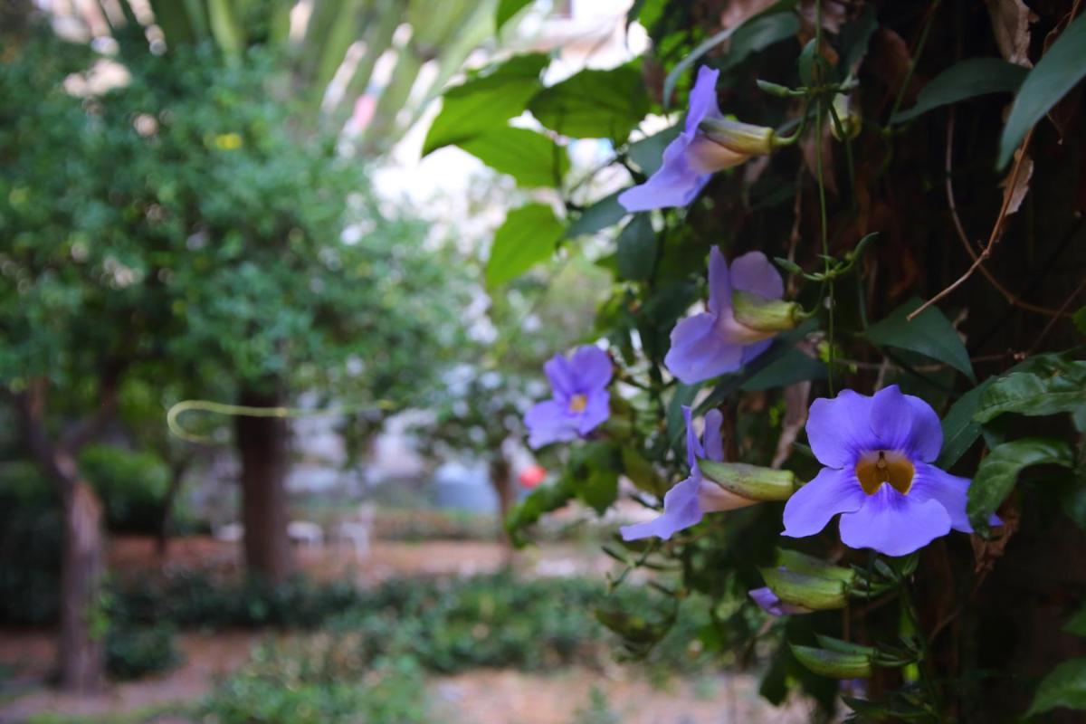 Casa Ale con giardino pensile - Housity