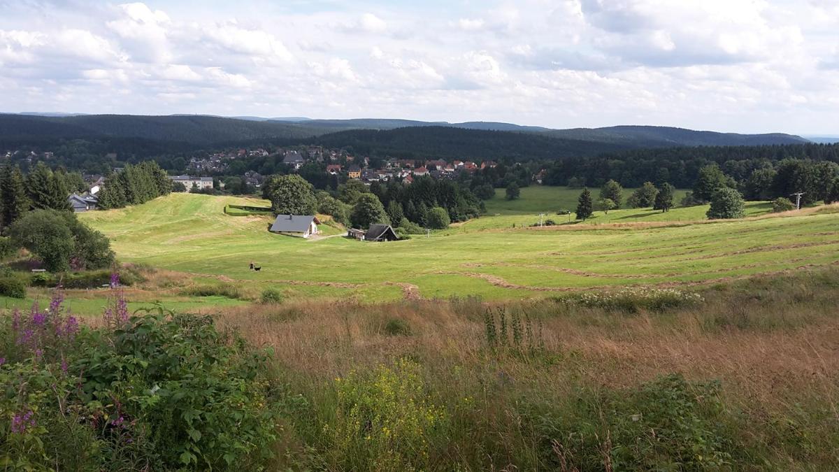 Ferienhaus Feldmann - Housity